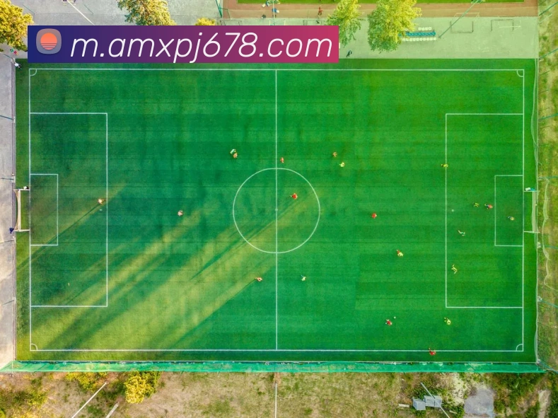 奖项图2